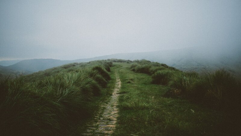Misty path on a grassy hill