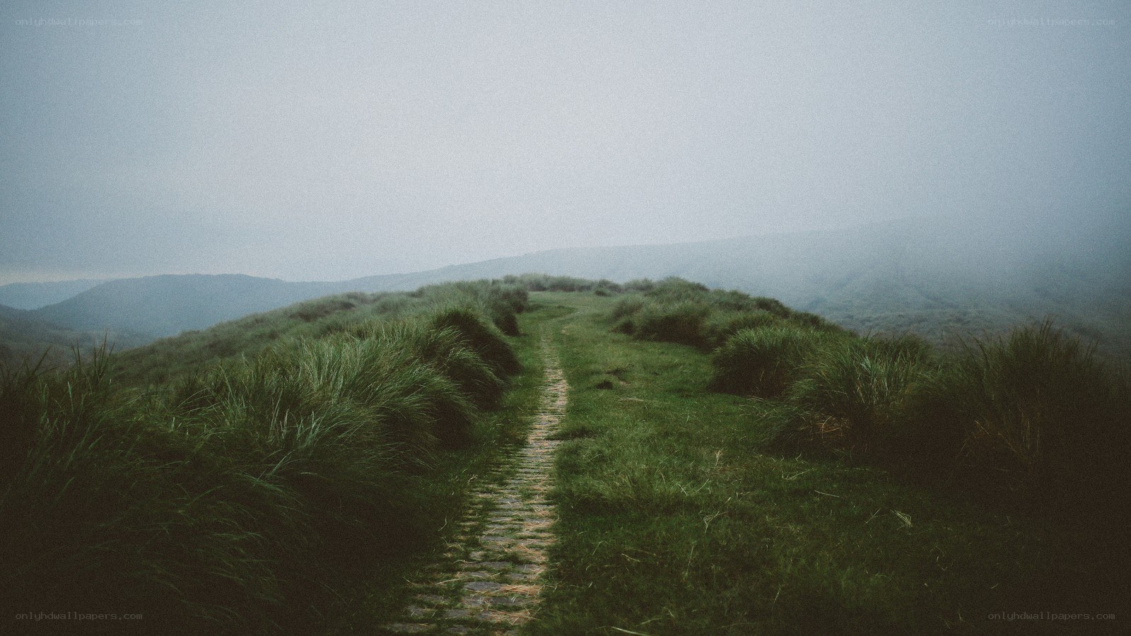 Misty path on a grassy hill