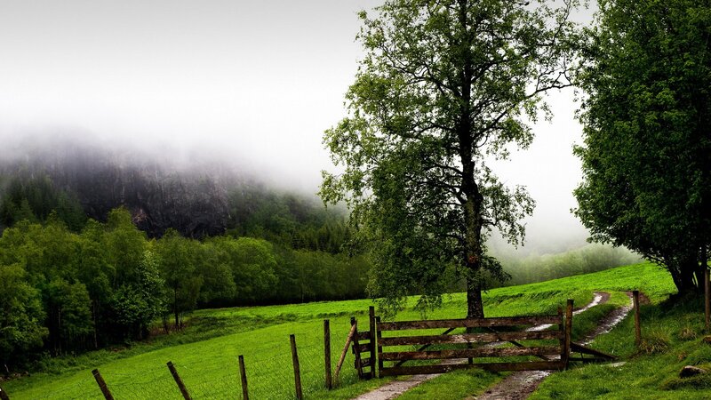 Misty path through green hills
