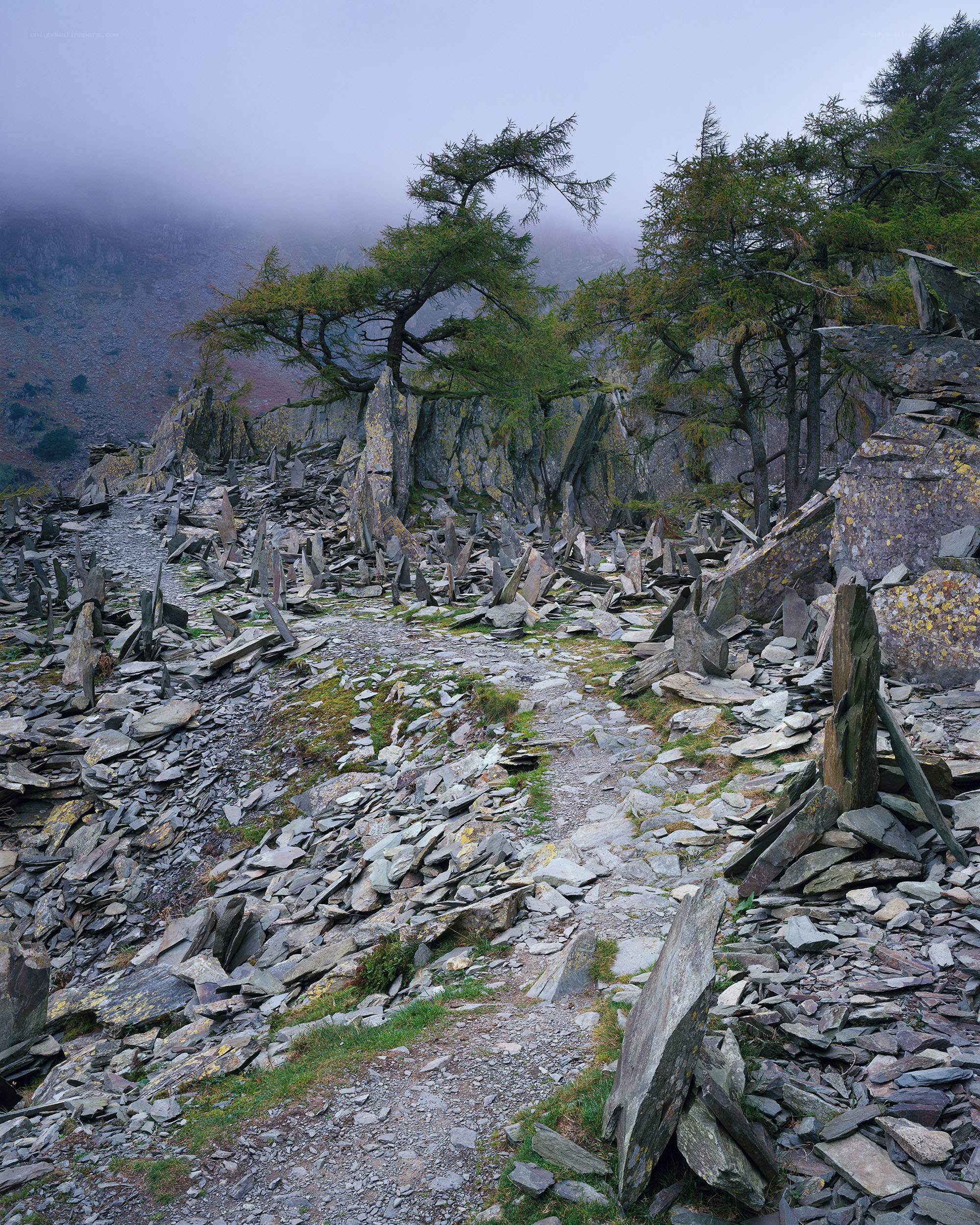 Misty path through slate quarry