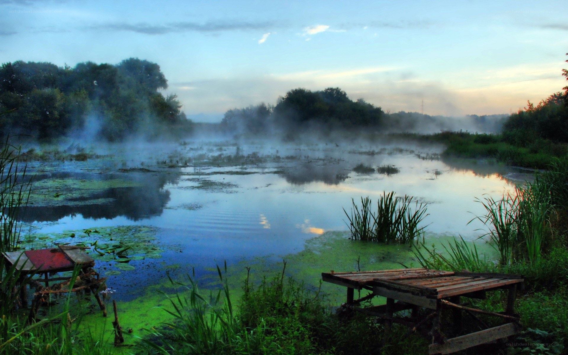 Misty pond at dawn