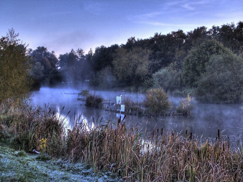 Misty Pond at Dawn — Blue, Serene, Morning