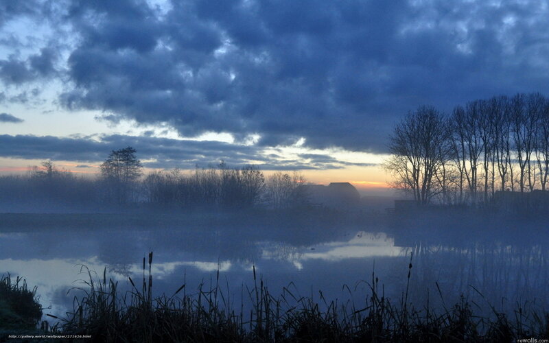 Misty Pond at Dawn — Blue, Serene, Photograph