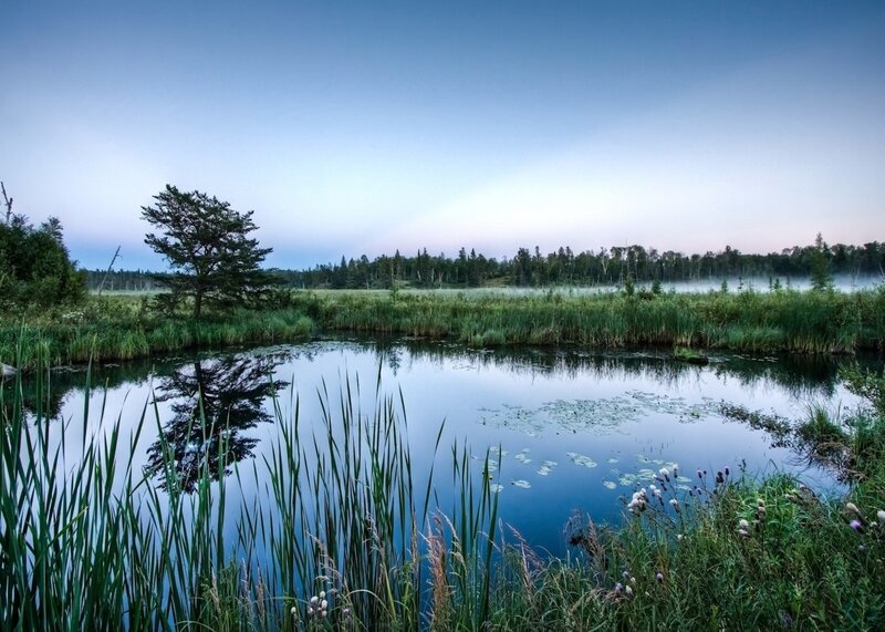Misty Pond at Dawn — Blue