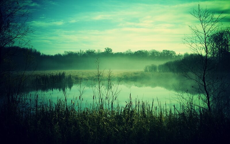 Misty Pond at Dawn — Green, Serene, Morning