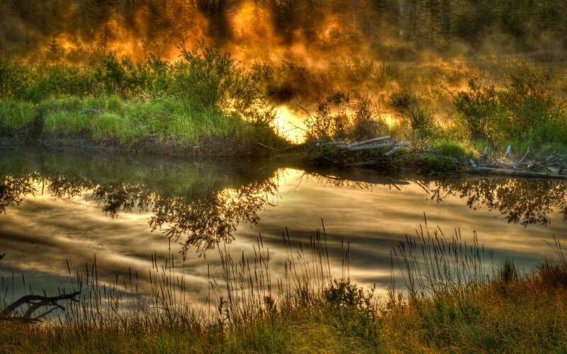 Misty Pond at Sunrise — Green