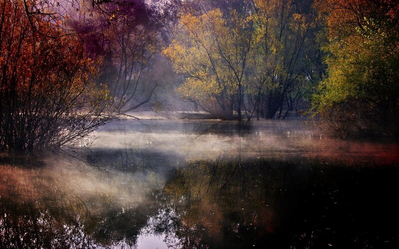 Misty Pond in Autumn