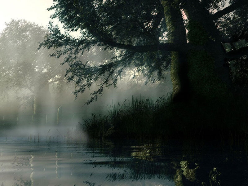 Misty Pond with Trees