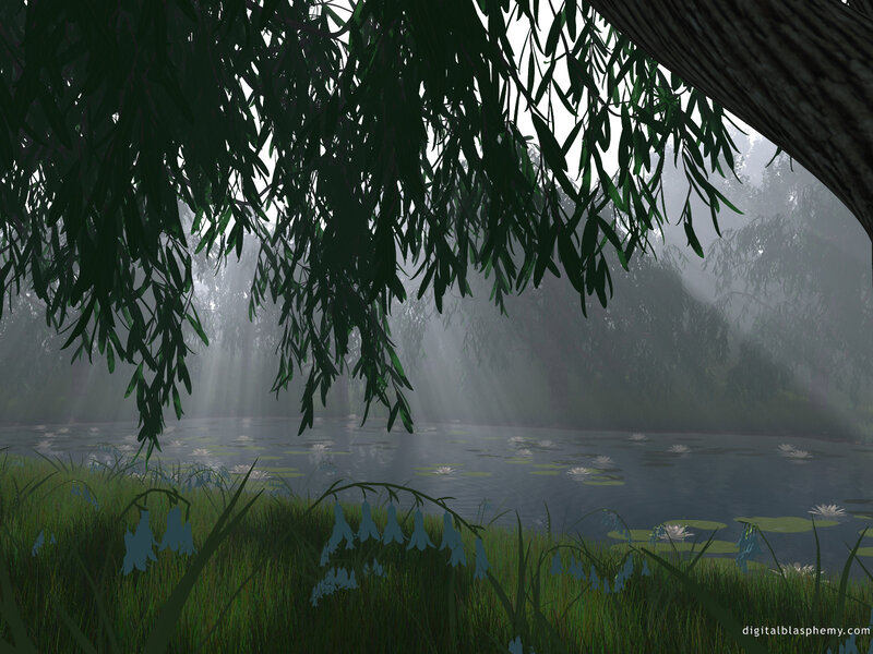Misty pond with willow and water lilies