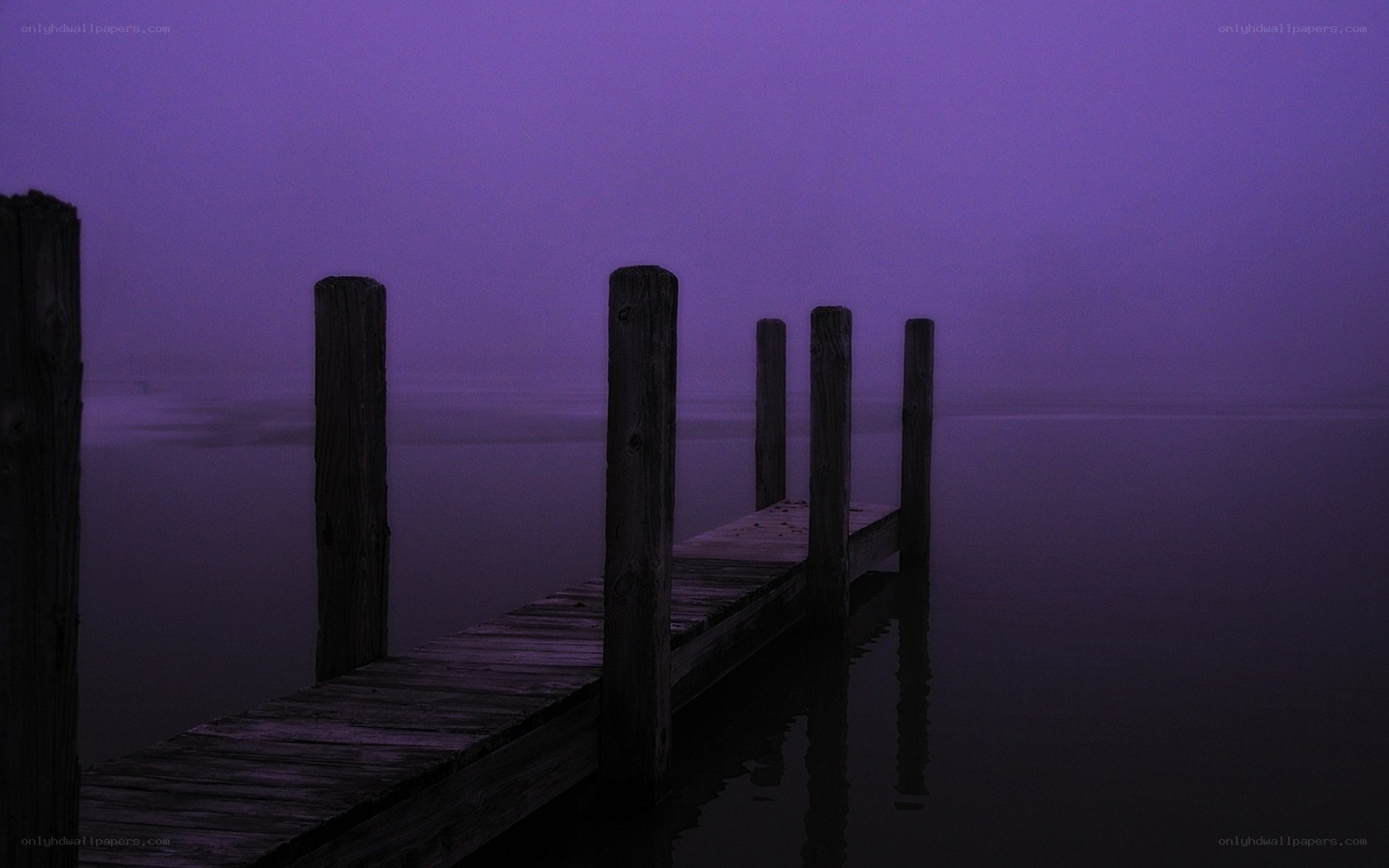 Misty purple dock at dawn