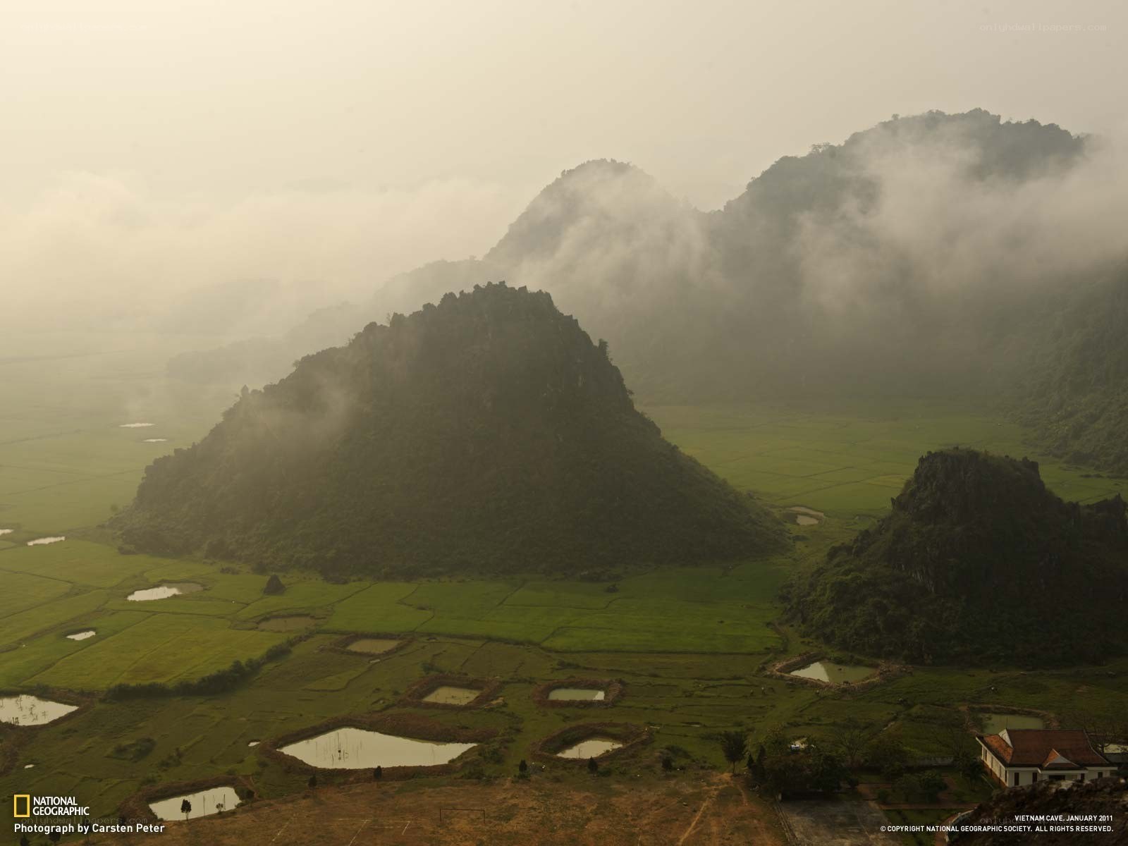 Misty rice fields in Vietnam