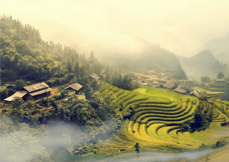 Misty rice terraces in Vietnam