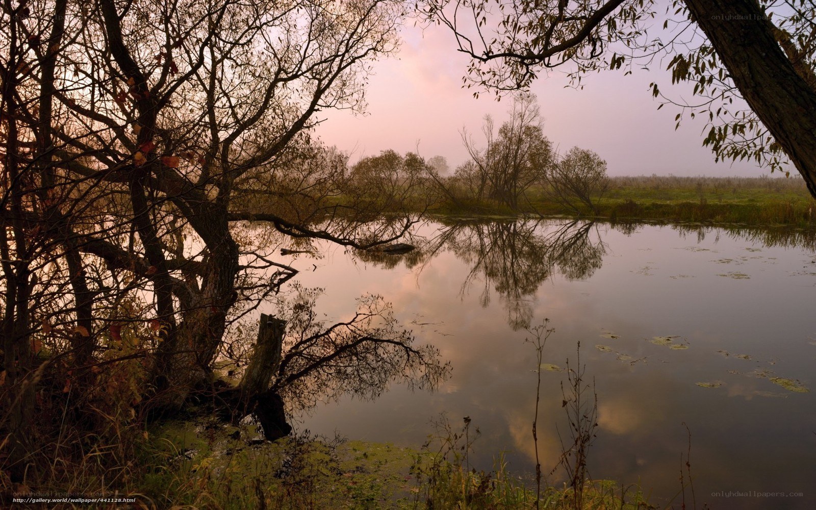 Misty river at dawn