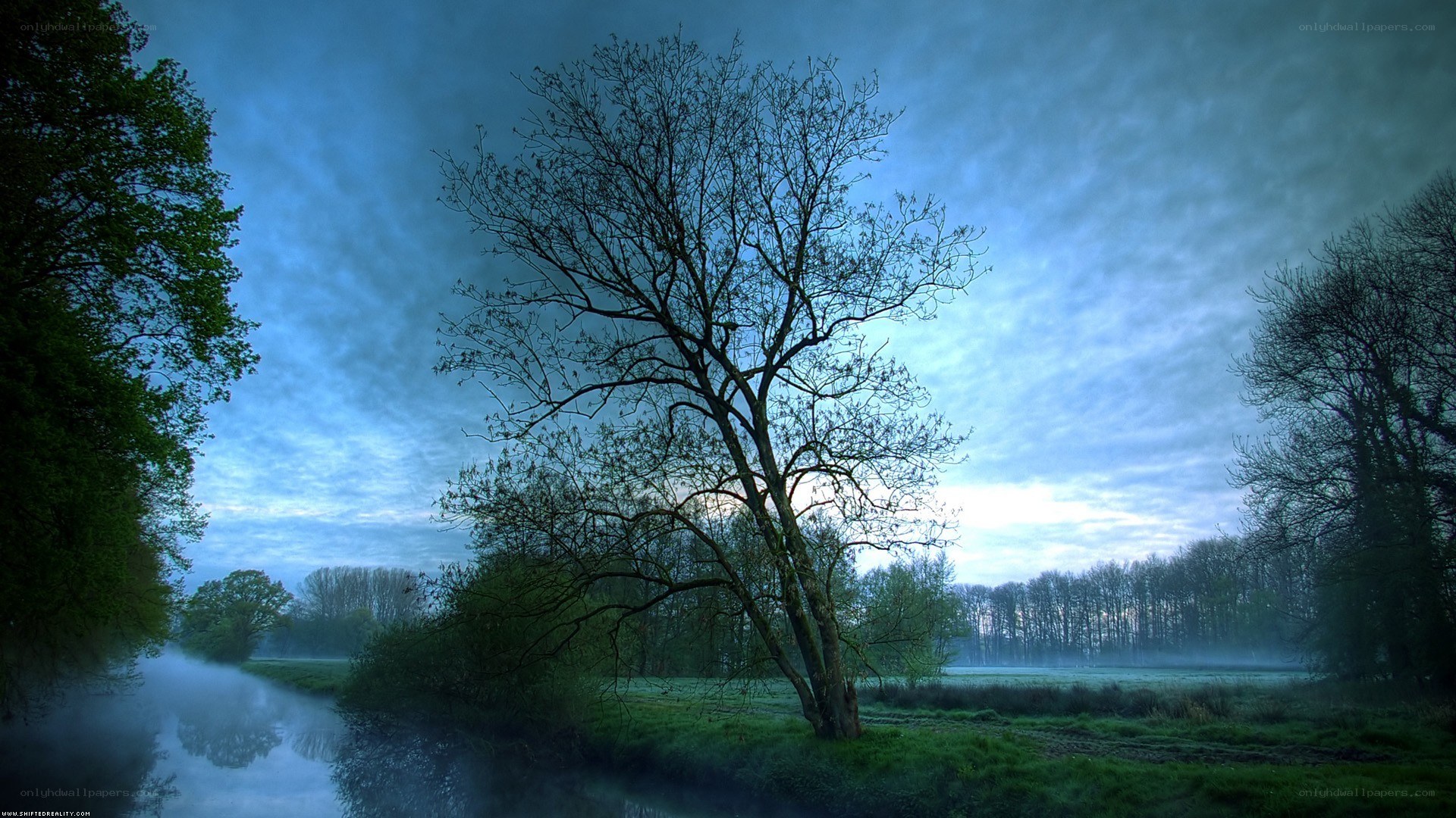 Misty river at dawn