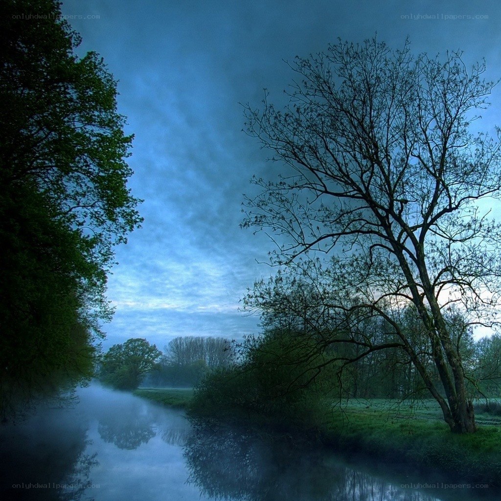 Misty river at dawn