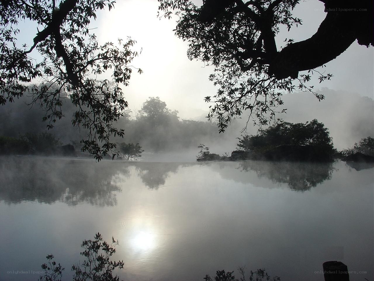 Misty river at dawn