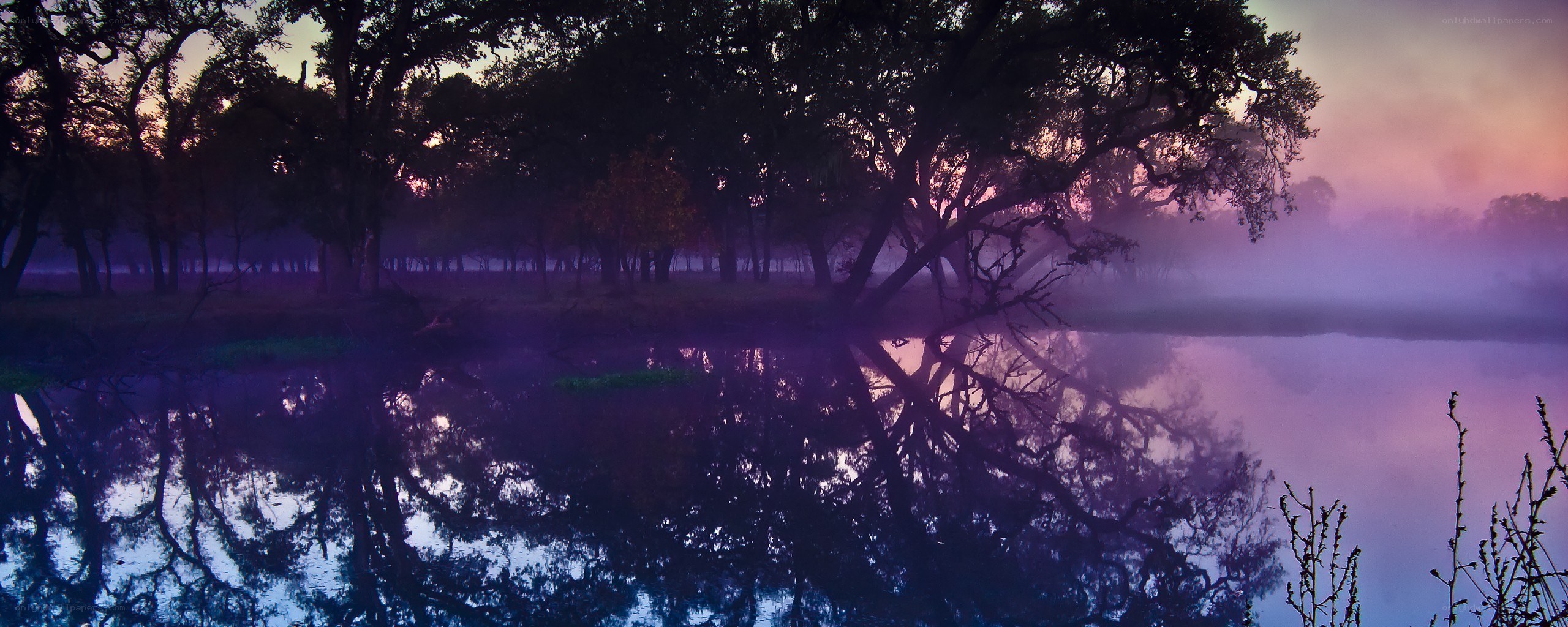 Misty river at dawn