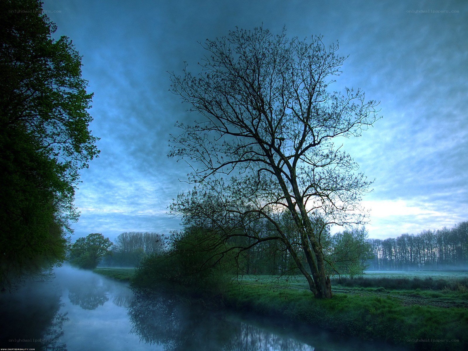 Misty river at dawn