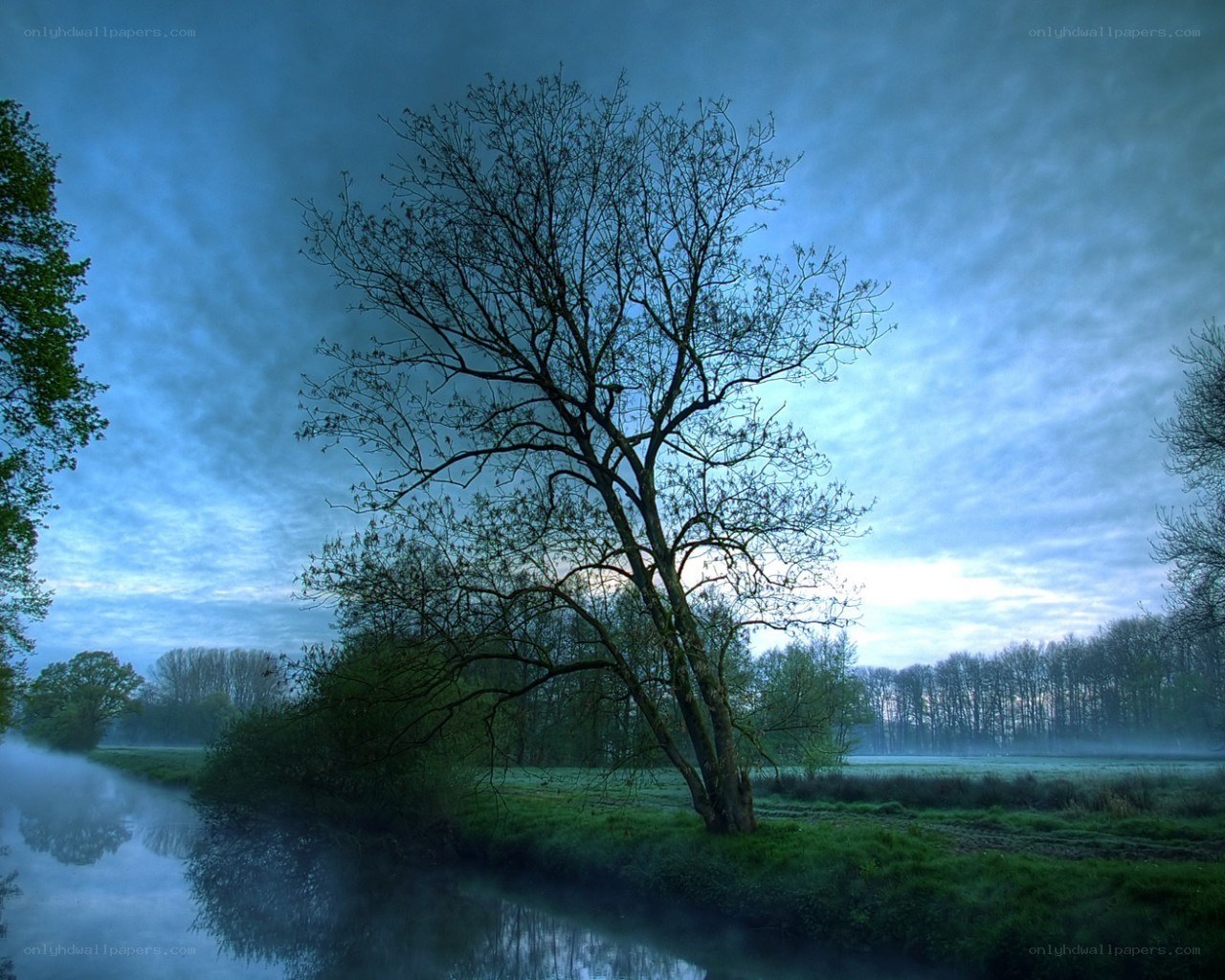 Misty river at dawn