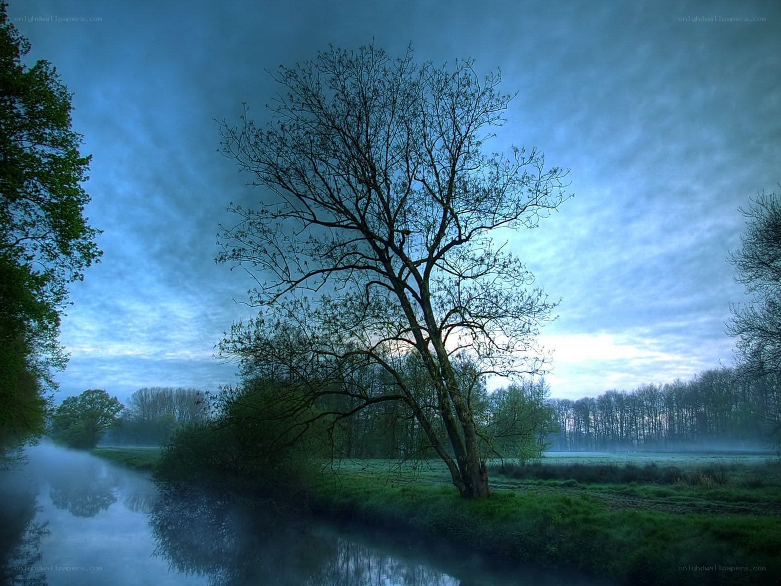 Misty river at dawn