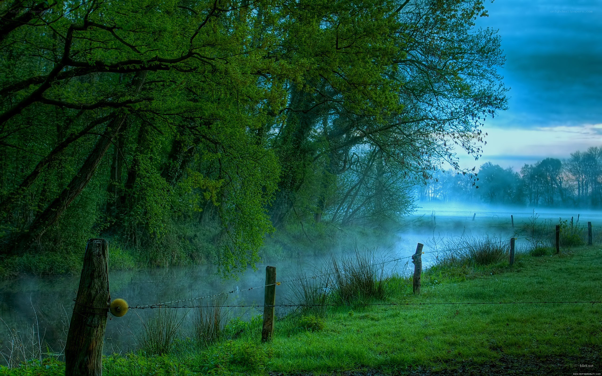 Misty river at dawn