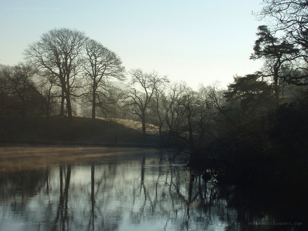 Misty river at dawn