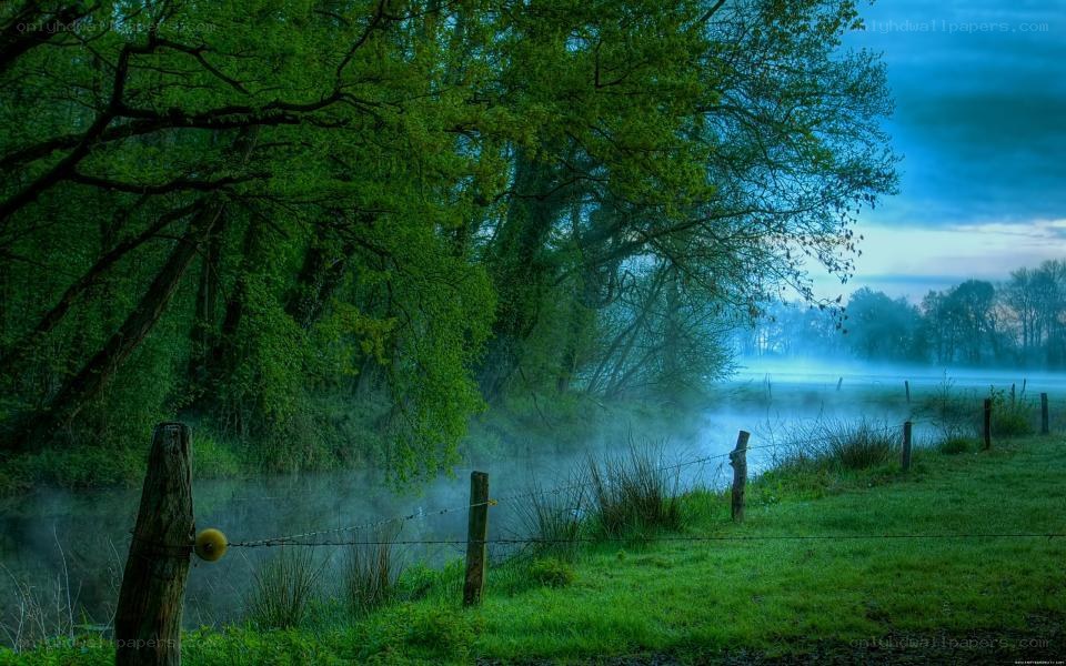 Misty river at dawn