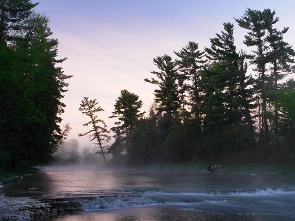 Misty river at dawn