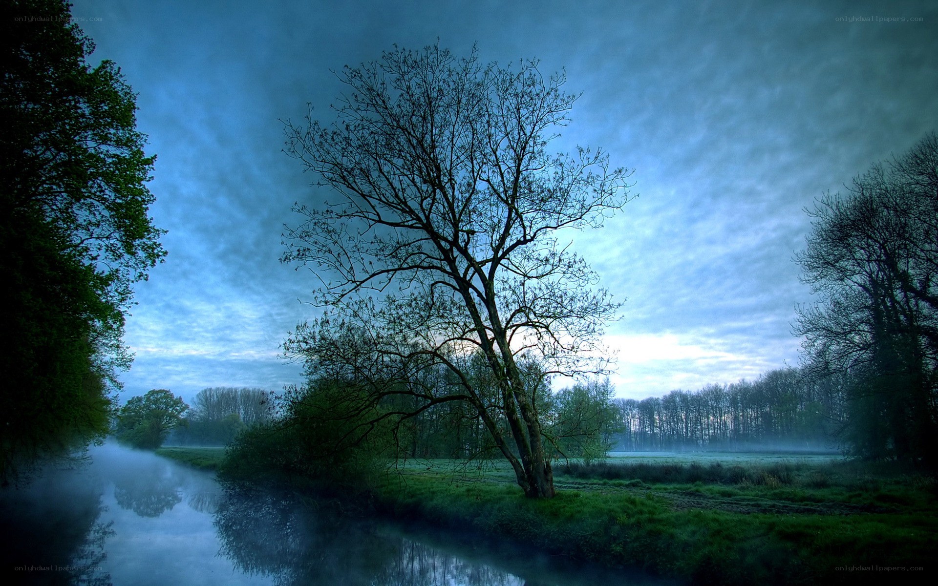Misty river at dawn
