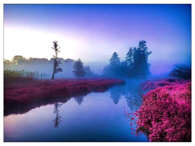 Misty river at dawn
