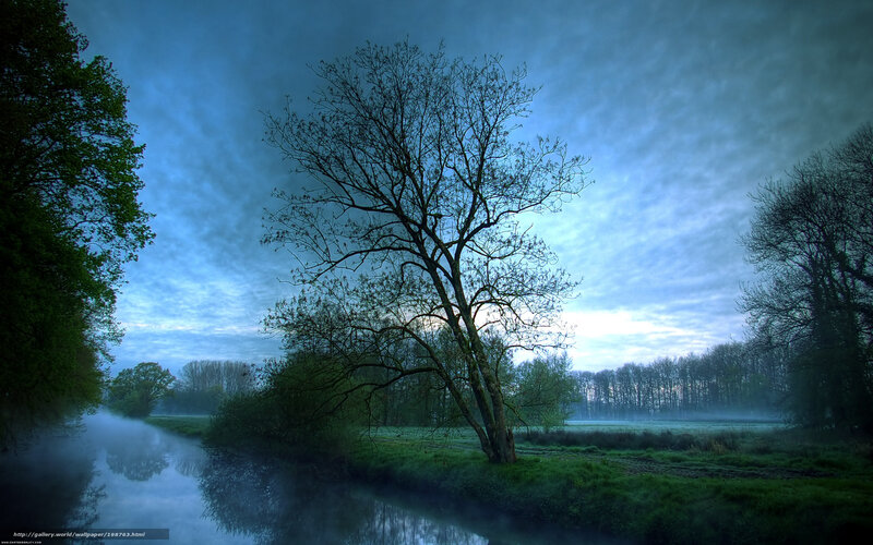 Misty river at dawn
