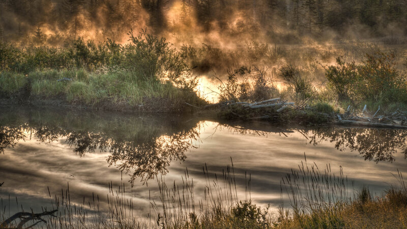Misty River at Dawn — Gold