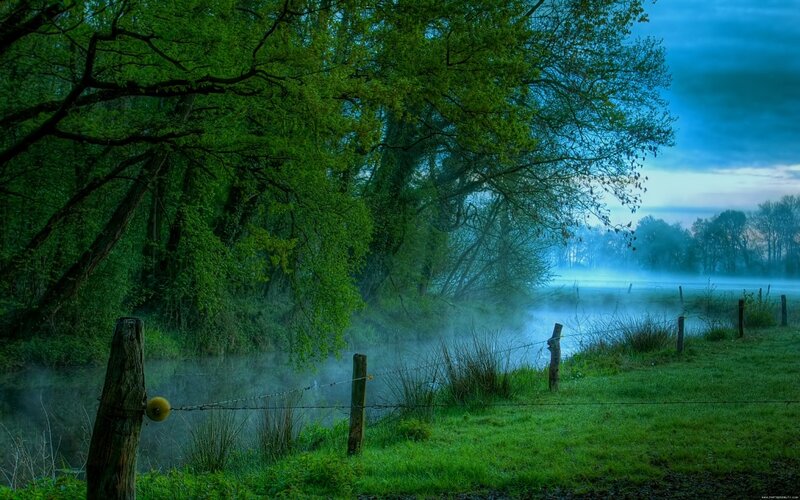 Misty River at Dawn — Green, Serene, Morning