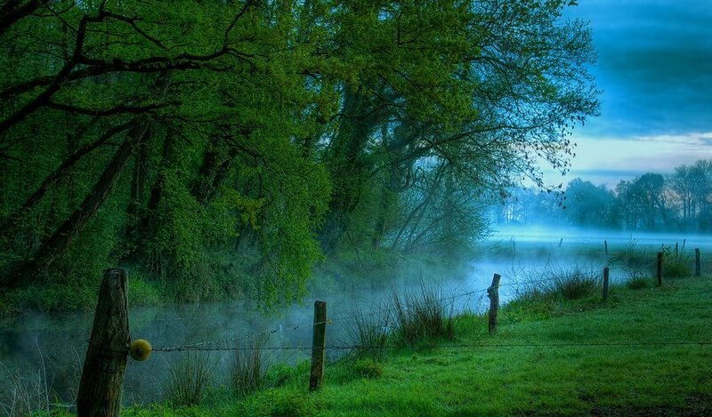 Misty River at Dawn — Green