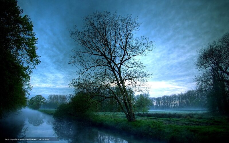 Misty river at dawn