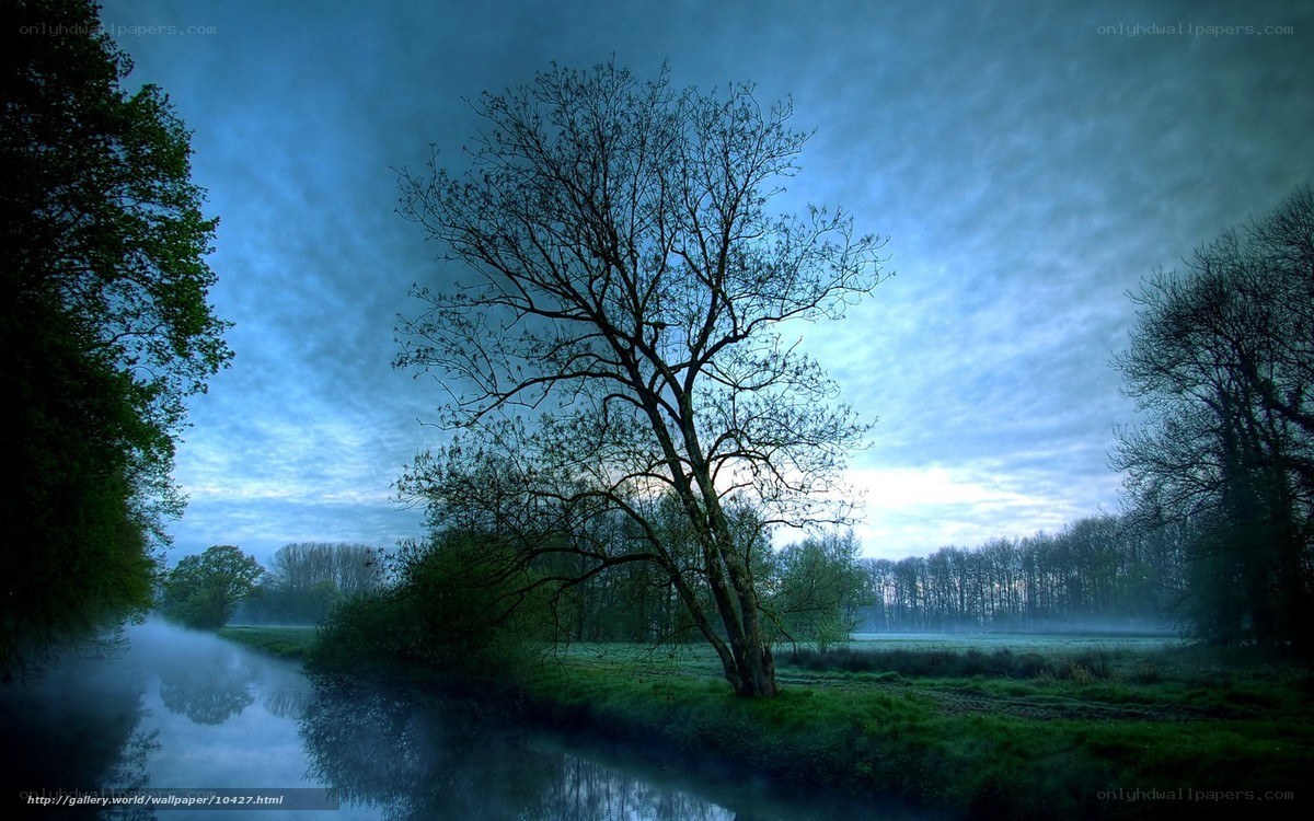 Misty river at dawn