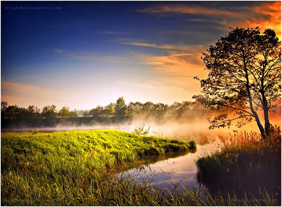 Misty river at sunrise