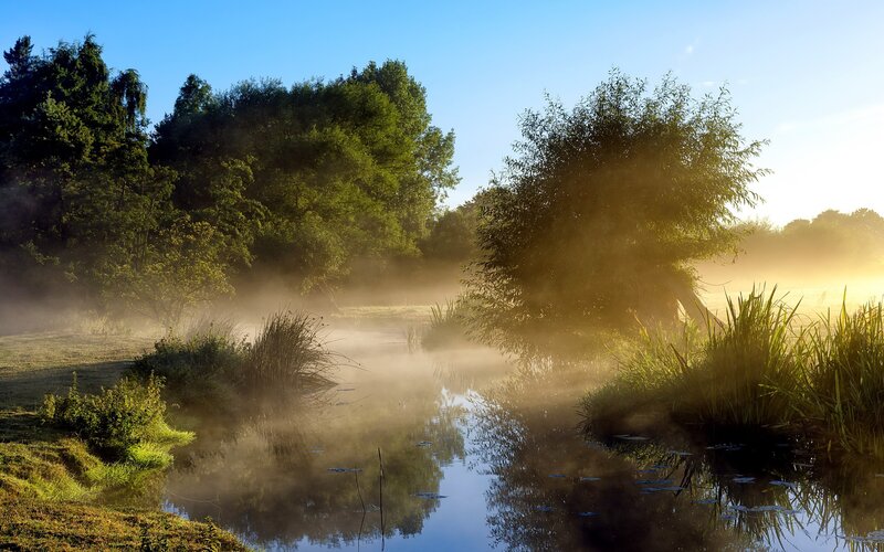 Misty River at Sunrise — Blue