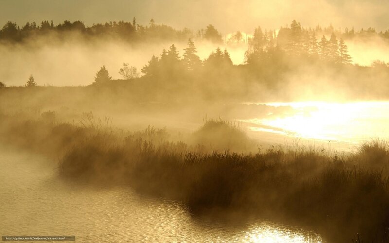 Misty River at Sunrise — Gold, Serene, Photograph, Fog