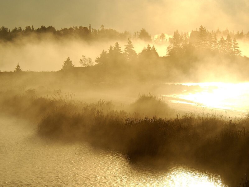 Misty River at Sunrise — Gold, Serene, Photograph, Fog, Trees
