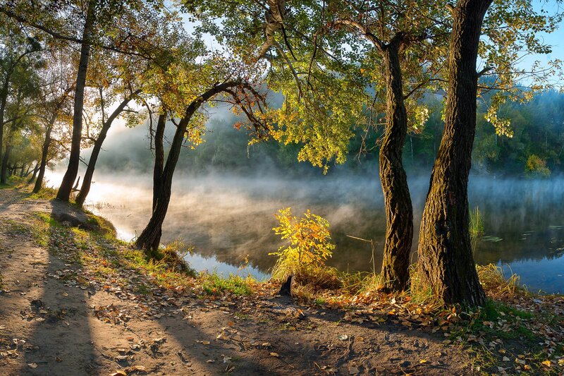 Misty River at Sunrise — Green