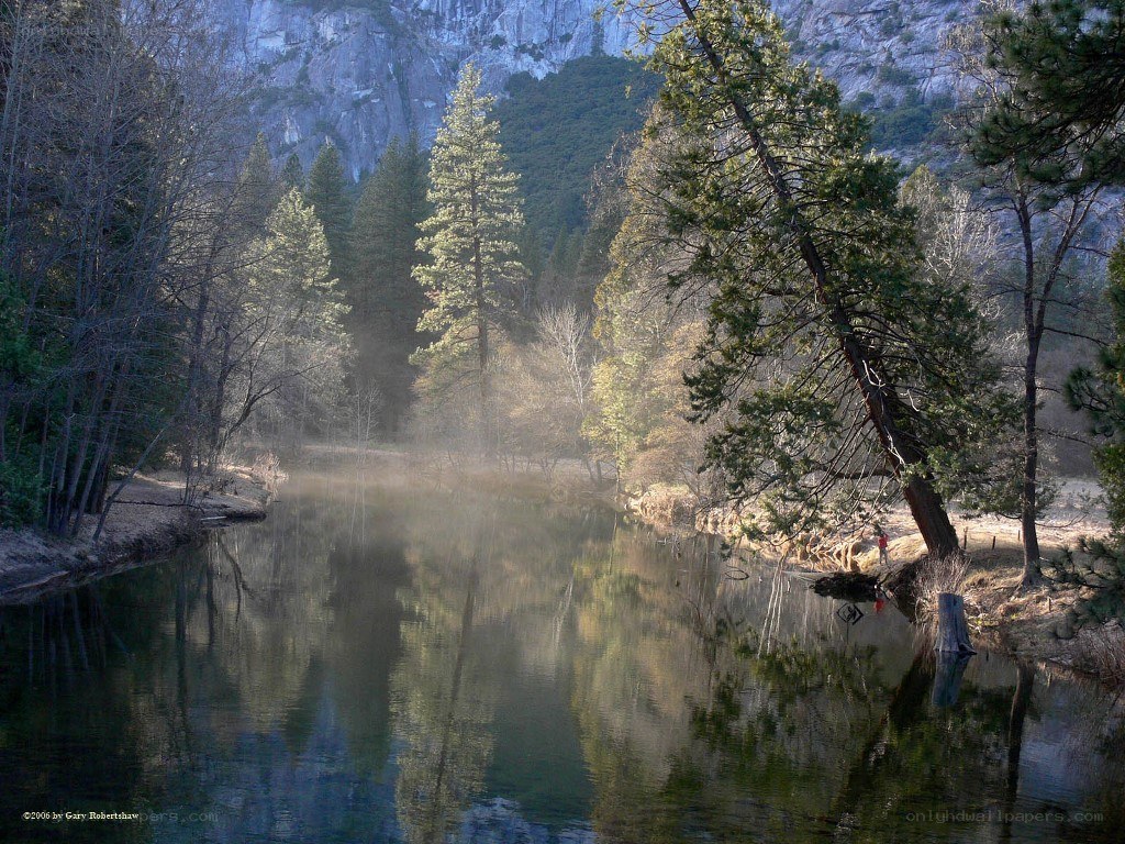 Misty river in a forest valley
