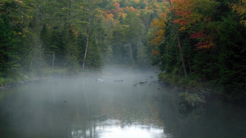 Misty River in Forest — Green, Serene, Autumn