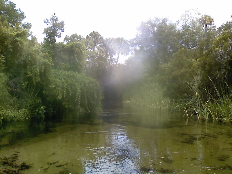 Misty River in Forest — Green