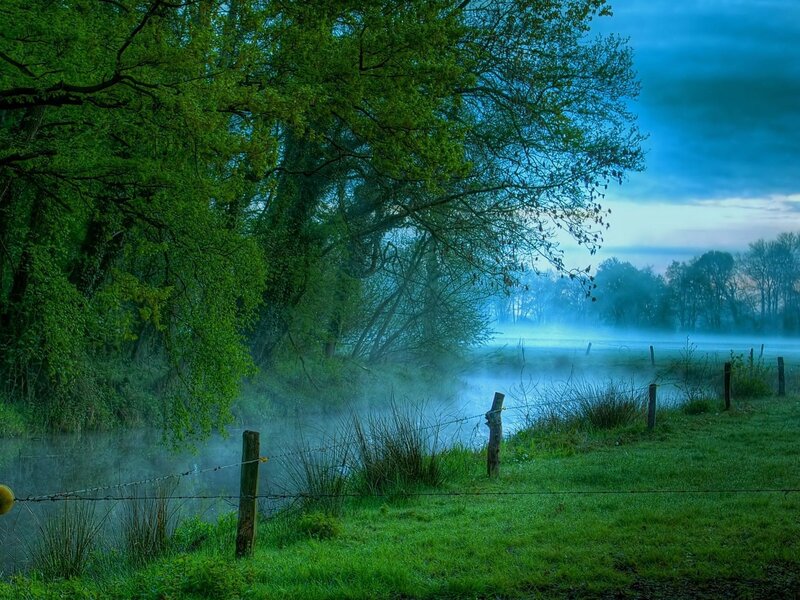 Misty River Landscape — Green, Serene
