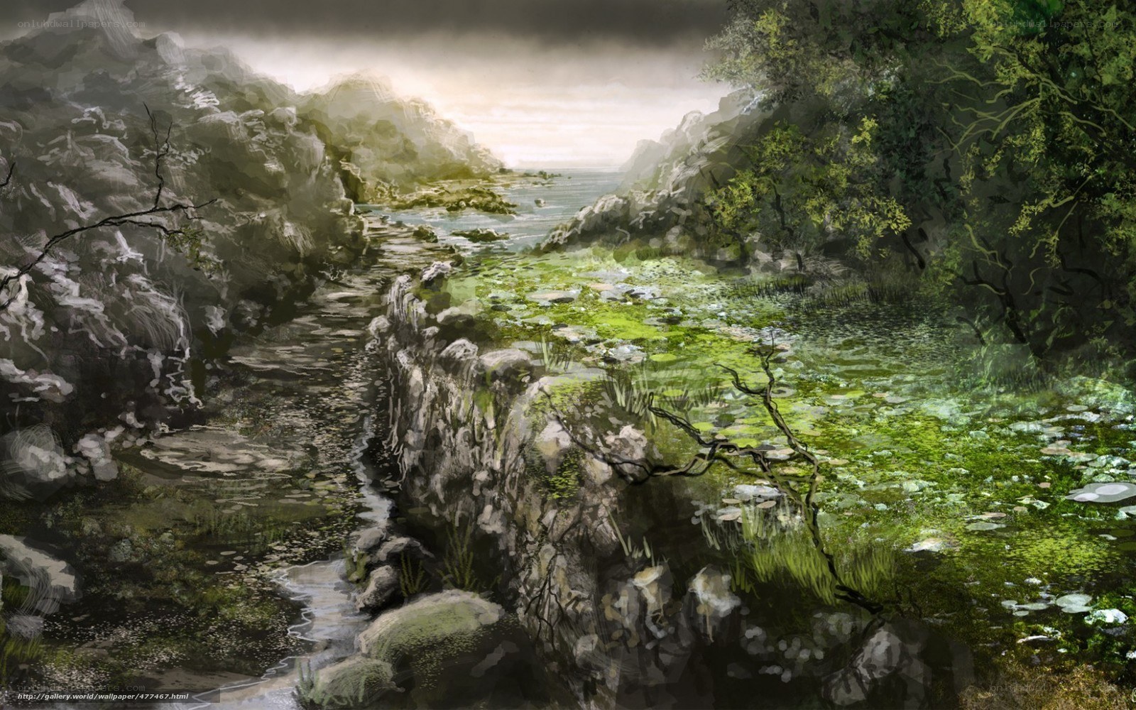 Misty river through rocky landscape