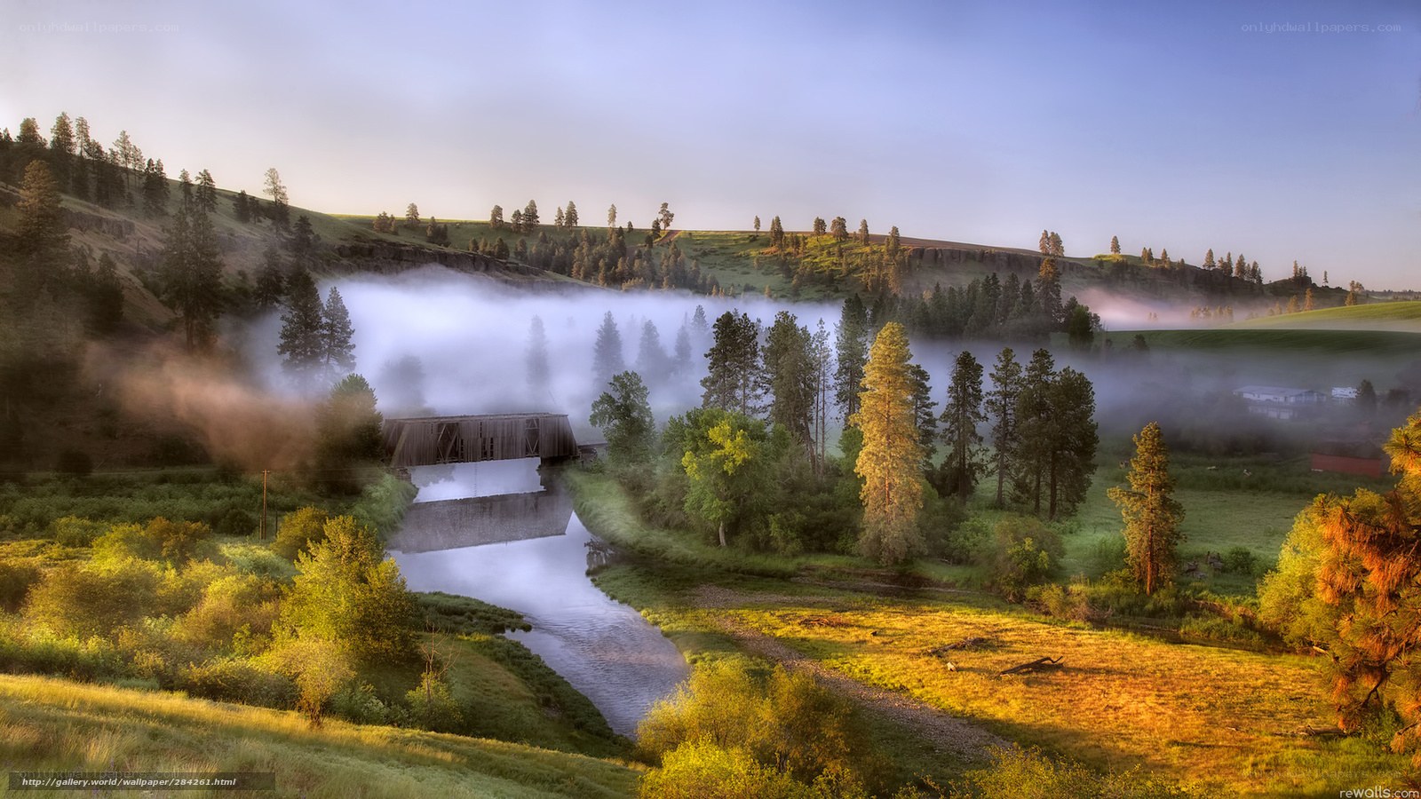 Misty river valley at dawn