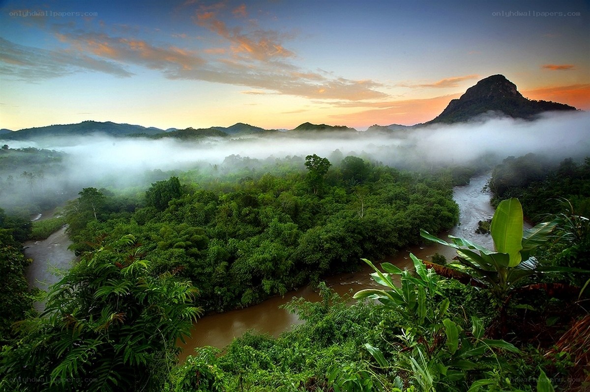Misty river valley at sunrise