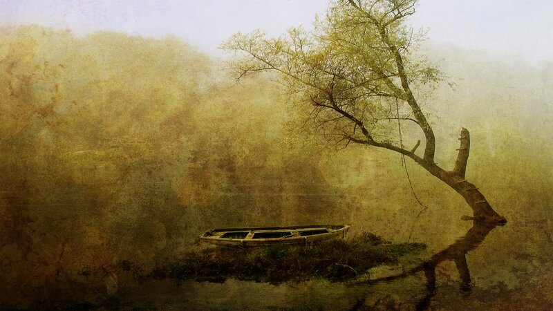 Misty river with boat and tree