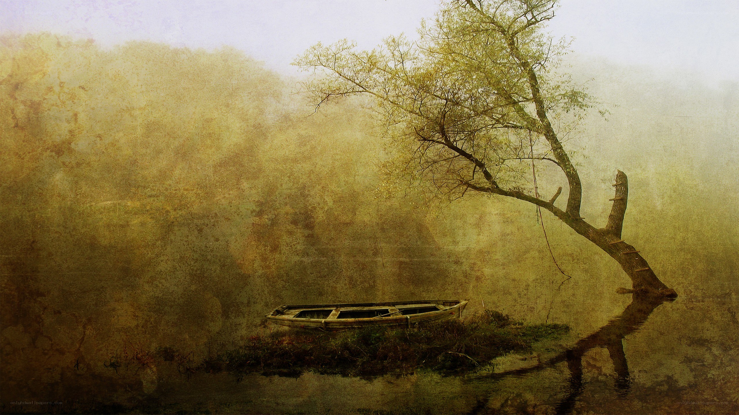 Misty river with boat and tree